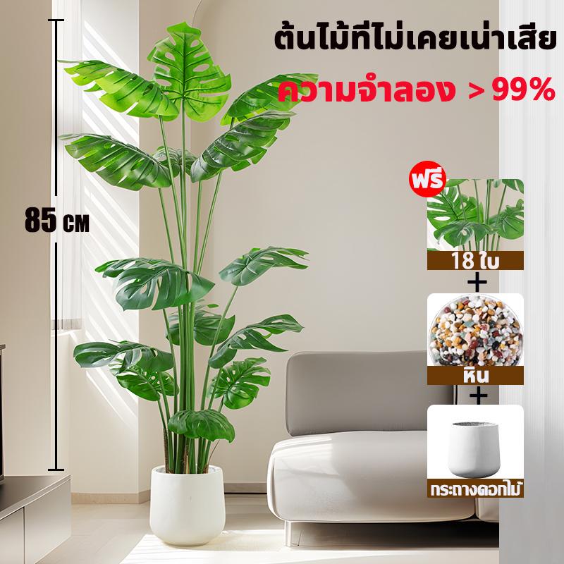 Product Introduction of คุณภาพรับประกันได้ ราคาถูกที่สุดมอนเสตอร่า ต้นไม้ปลอม ฟรีกระถางดอกไม้ต้นไม้+หินตกแต่ง ความจำลอง 99% สไตล์นอร์ดิก ในบ้าน 4