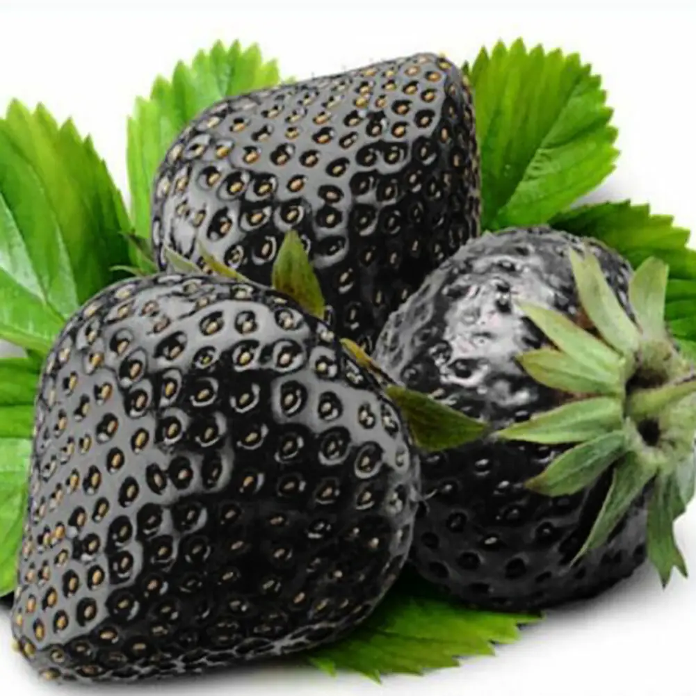 zeeniago- 200Pcs Rare Black Strawberry Seeds Bonsai Delicious Fruit Garden Plant Decor