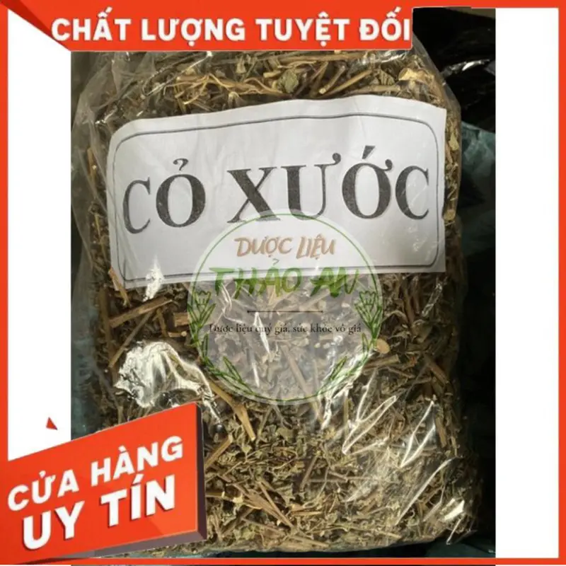 1 kg cây CỎ XƯỚC khô (mới, đẹp, loại 1) - cơ sở dượċ liệu Thảo An 2