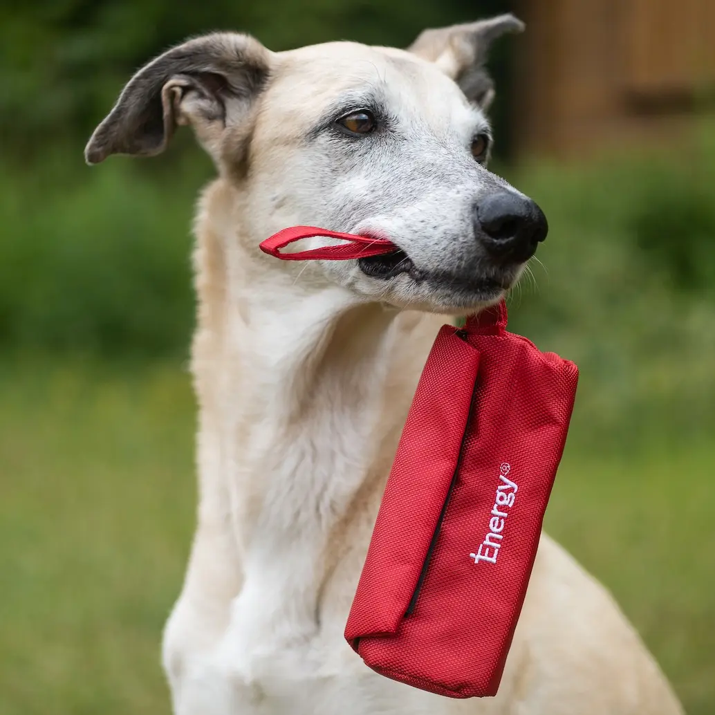 iEnergy BET Dummy Bag playfully promotes your dog’s hunting instinct by making it fun — and rewarding — to sniff around and search for food.