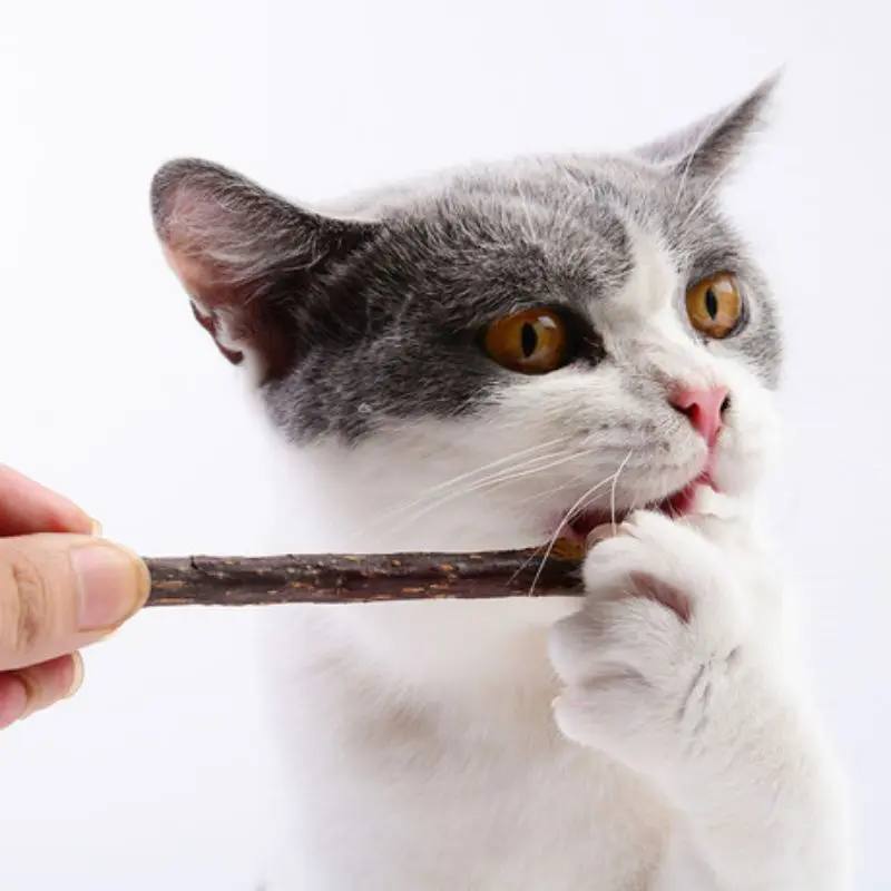 Stick Kucing Catnip Mainan Kucing Naturan - Anti Stress Kucing Catnip Snack Kucing Toys 1