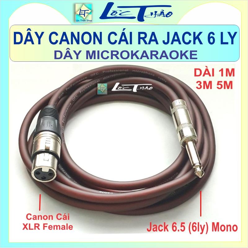 Dây Canon Cái ra 6 ly Dài 1M 3M 5M - Dây Micro Karaoke - Dây Canon Cái ra Jack 6 ly Mono - Dây 6 ly Đực ra Canon Cái - Dây Jack 6.5 ra Canon Cái-  Microphone Cable Jack 6.35mm TS 1/4 Male To XLR Female