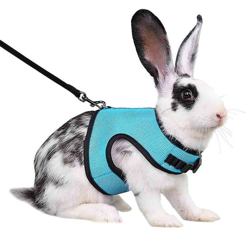 Product Introduction of Adjustable Soft Harness with Elastic Leash for Rabbits Harness Bunny Vest Harness Suit for Ferret Kittn Puppy Small Animals Pets 20