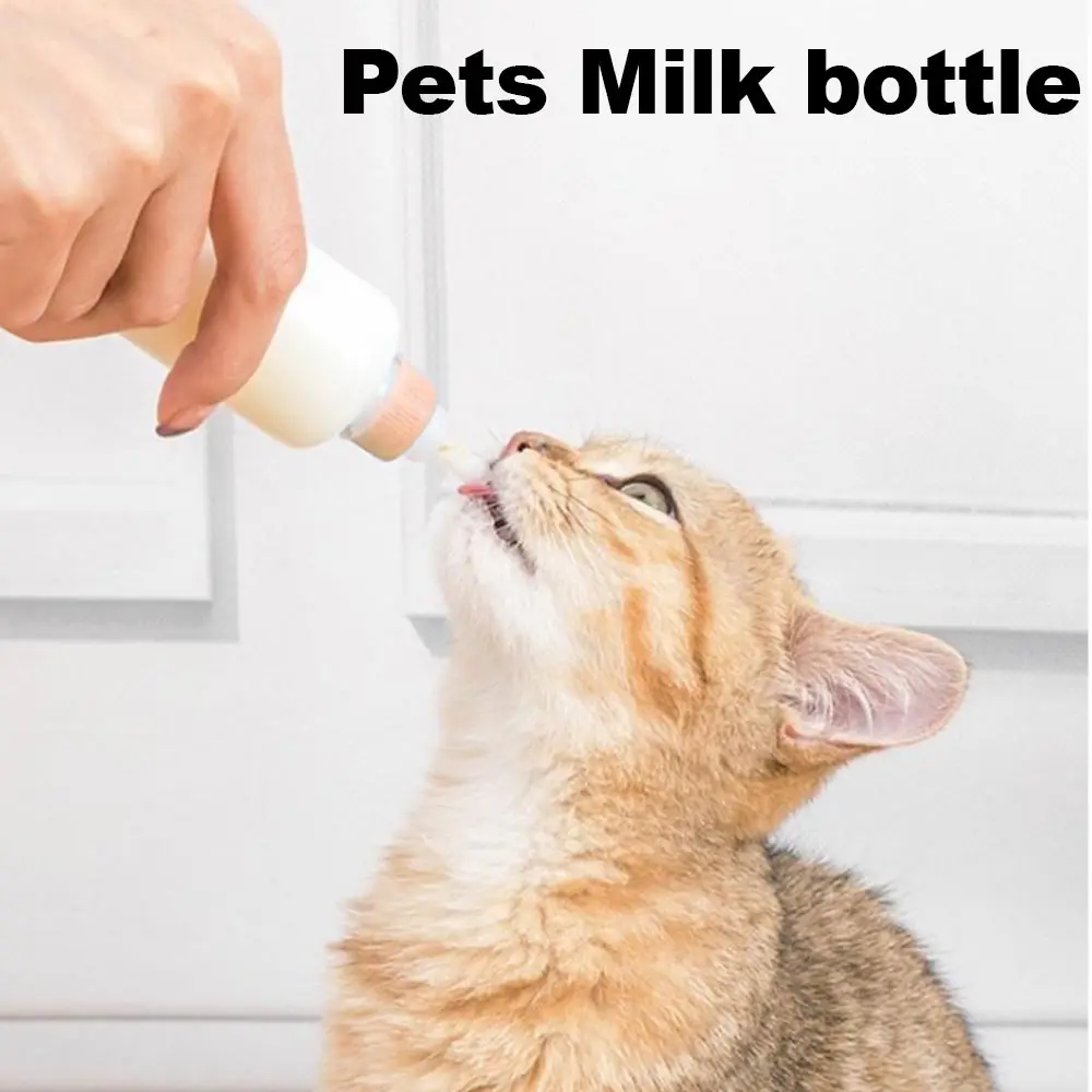 Silicone bottle for raising cats and dogs, size 100 ml.For feeding water to kittens and puppies.