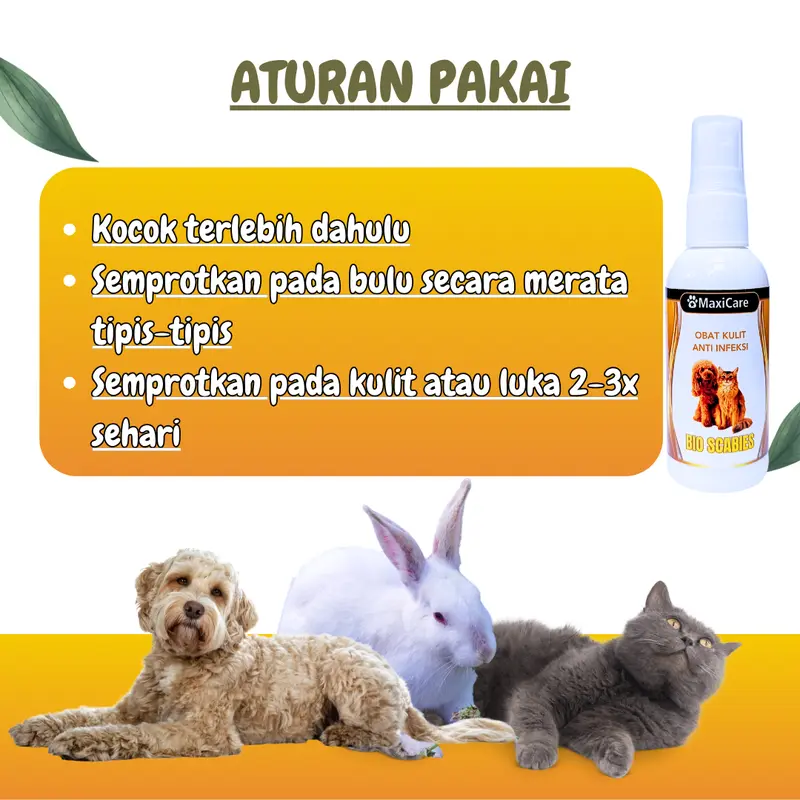 (Maxicare) Anti Scabies Obat Jamur Kucing dan Anjing Scabies Demodex Impetigo Jamur Kutu Parasit Gatal isi 60 ml Anti Scabies Clever Solution Royal Care Elope Golden Paw 2