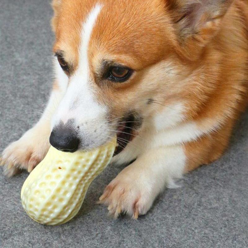 Product Introduction of Peanut Dog Toy Molar Bite Resistant Squeak Vocal Pet Toy Ball for Puppy Cat Interactive Teeth Grinding Accessories 10