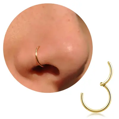 Fake Stretched Septum Magnetic Fake Septum Rng Fake Double Septum