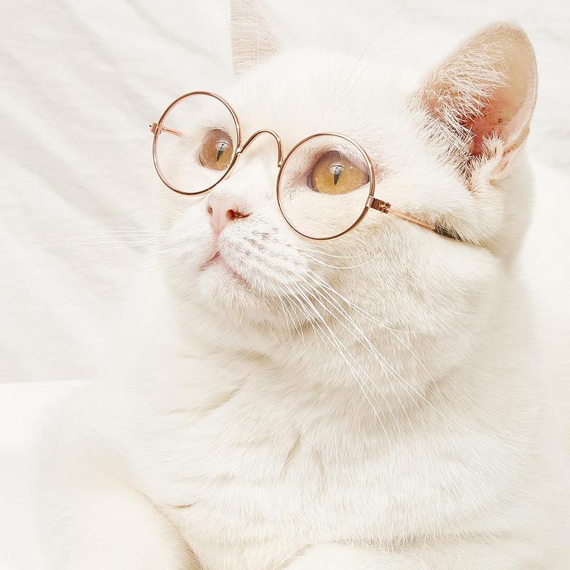 Cute Cat Glasses, 1 Pair Fashion Pet Eyewear for Small Dogs & Cats, Pet Photo Props for Party, Daily Clothing Decor, Fun Pets Supplies 0
