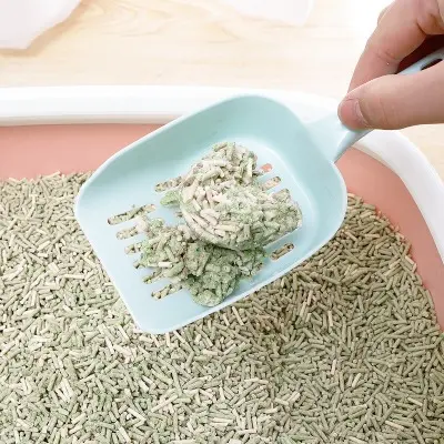 Xẻng hót phân cho mèo - Xẻng xúc cát vệ sinh cho mèo 2