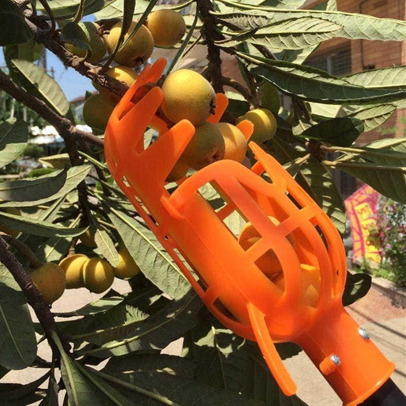 Garden Basket Fruit Picker Head Plastic Fruit Picking Tool High-altitude Fruit Picker Picking Loquat Picking Bayberry Tool 3