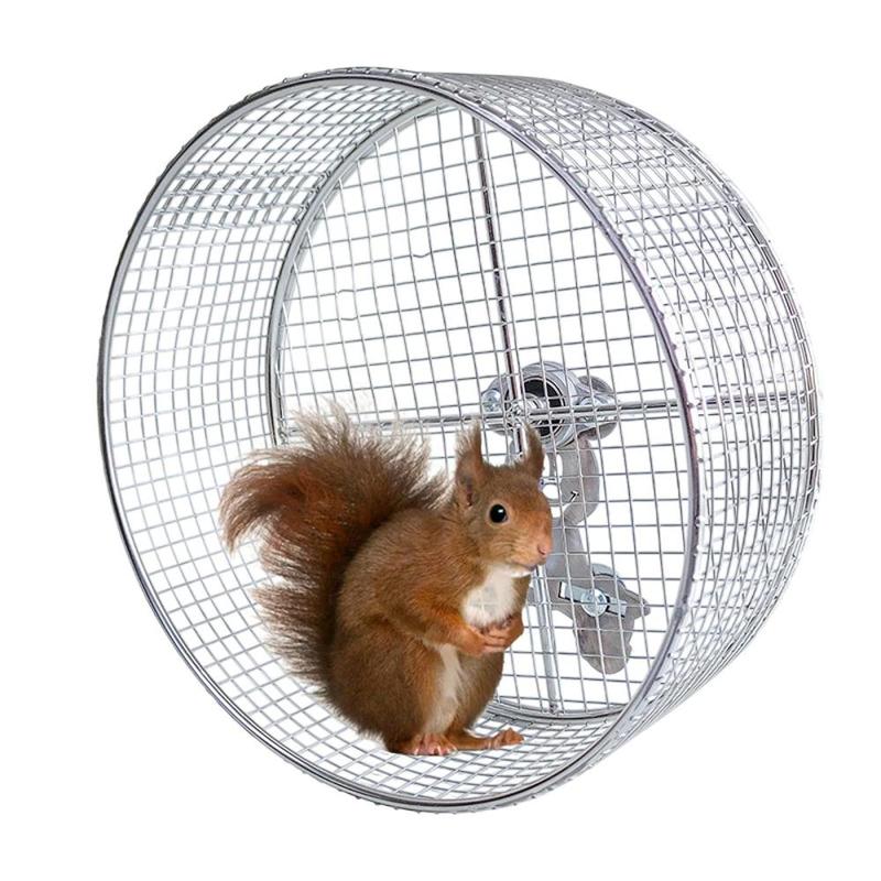 Hamster Running Exercise Wheel for Gerbils Rats Mice Activity Anti Slip Mute 0