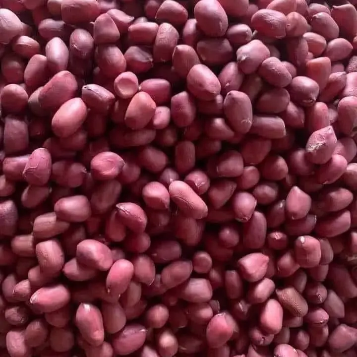 lạc đỏ cả vỏ Compo 2kg khô vụ mới Thức Ăn 1
