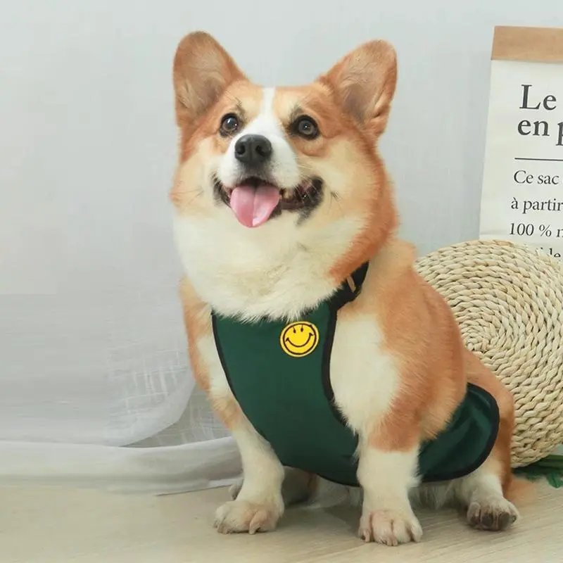 Product Introduction of Waterproof Pet Bellyband Raincoat, Cute Dog Belly Raincoat with Reflective Strip, Pet Clothes, Dog & Cat Clothing Supplies 0