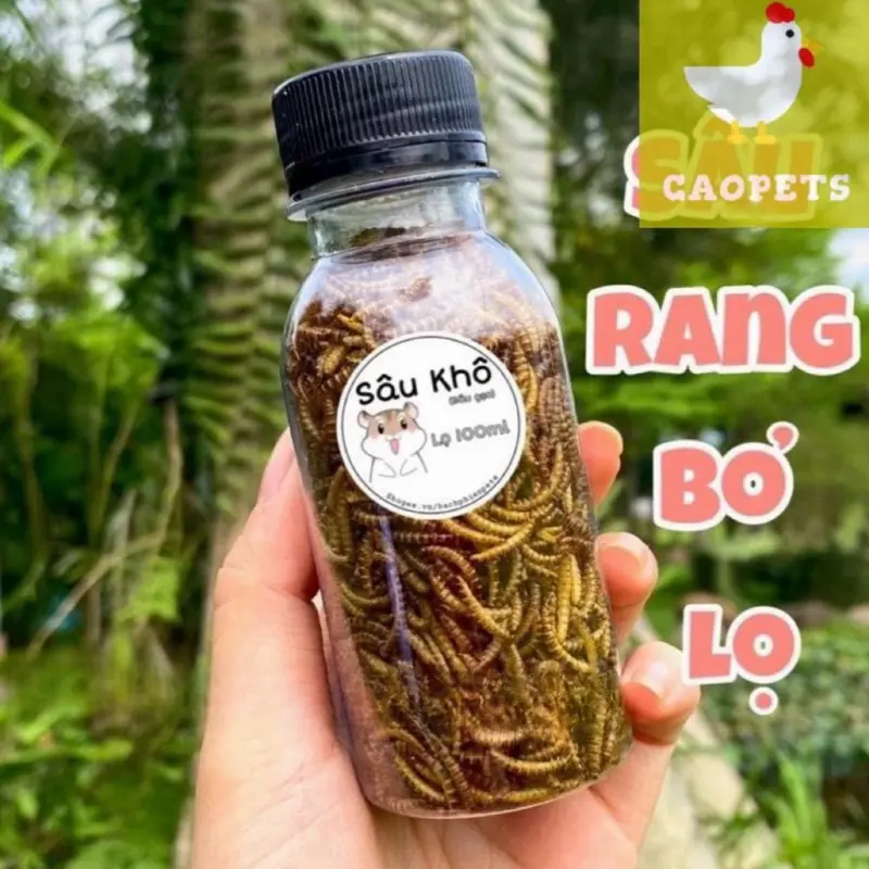 Sâu Khô ( Sâu Gạo) thức ăn cho Hamster lọ 100ml.