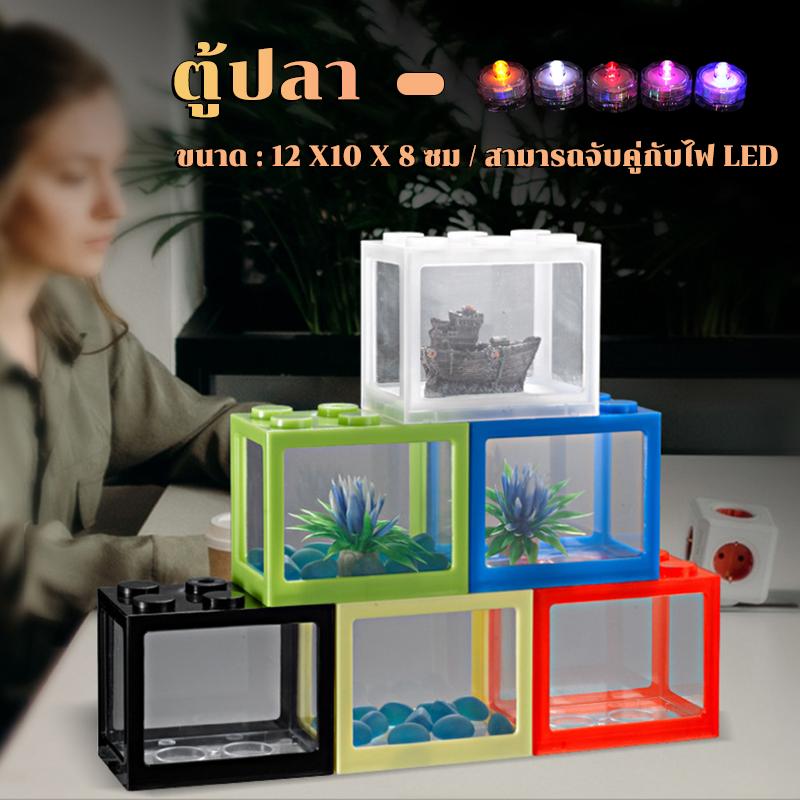 Bể , Tự Làm, Thích Hợp Để Nuôi  Đấu Đấu Và  Nhỏ, Tùy Chọn Màu Đèn LED Miễn Phí, Hàng Nhập Khẩu hồ show cá kệ ghé ăn 2