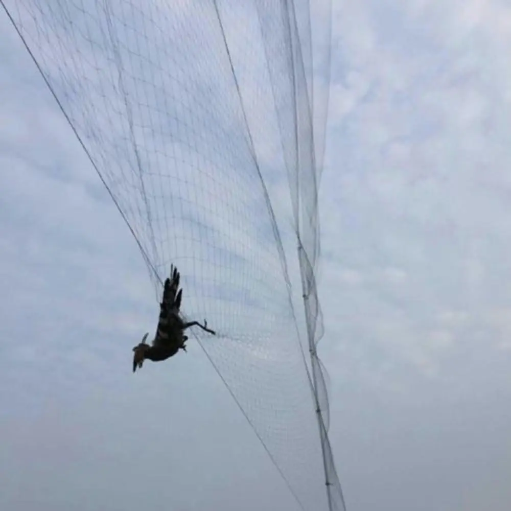 Vineyard bird netting Black bird netting Durable 4m 8m Fruit net mesh Black mesh 6m Crop protection net for Farm protection Orchard netting Garden