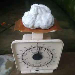 Pulut burung berkualitas 1 ons