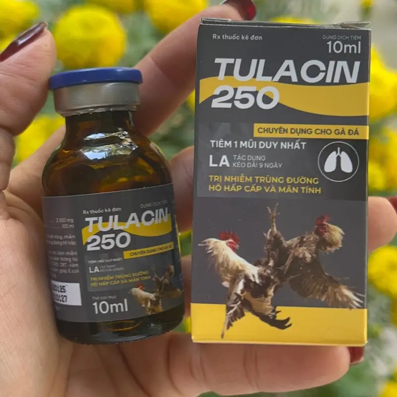 TULACIN chai 10ml dành cho gà bị hô hấp - sổ mũi - tị huyết trùng ,…. Chỉ 1 liều là được 1