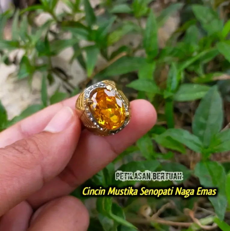 Cincin S3nopati N4ga3mas Aktif
