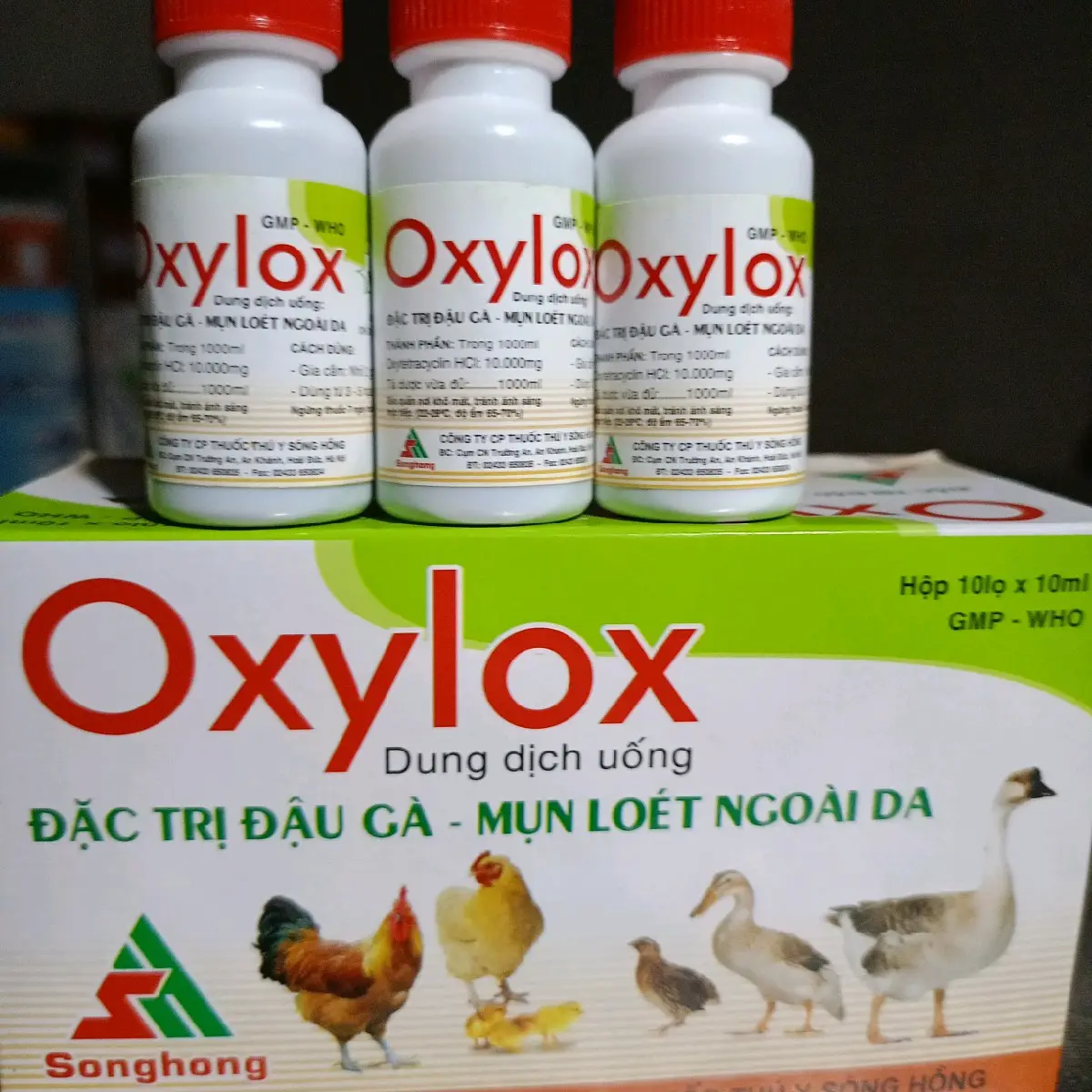 OxyLox: Đặc trị đậu gà - Mụn loét ngoài da . ComBo 3 lọ, dùng cho Gà đá (10ml/lọ)