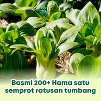 Gambar INFARM - Ekstrak Neem Oil 125ml Minyak Mimba, Insektisida dan Fungisida Nabati untuk Kendalikan Hama Secara Alami - Warna dari Infarm Kota Surabaya 4 Tokopedia