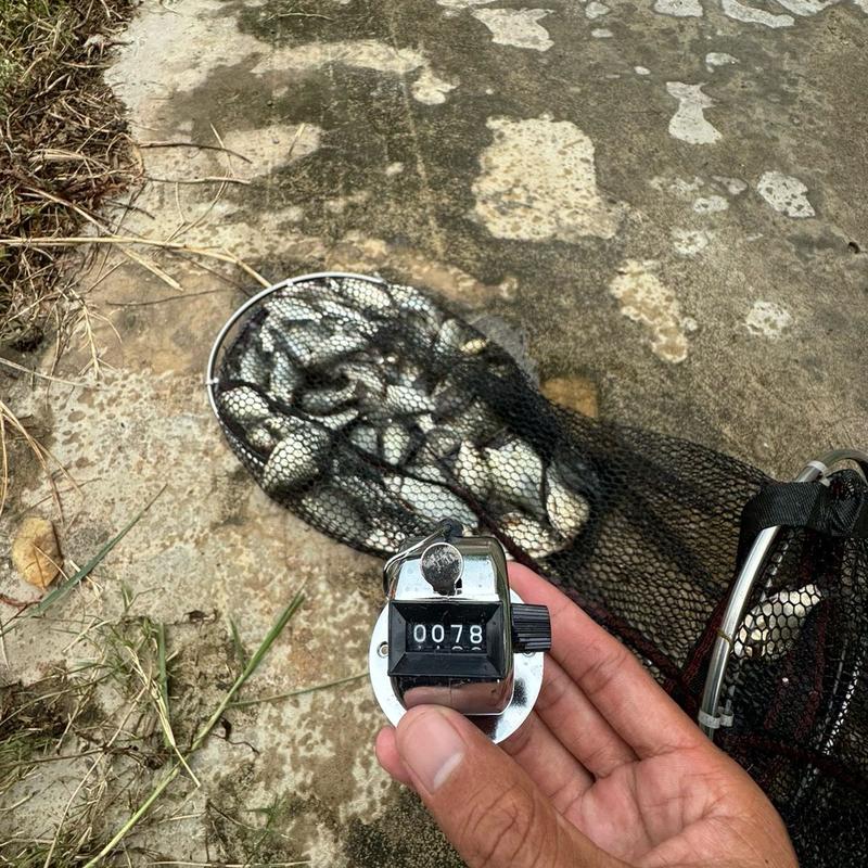  Máy đếm dùng cho câu cá số lượng nhiều 