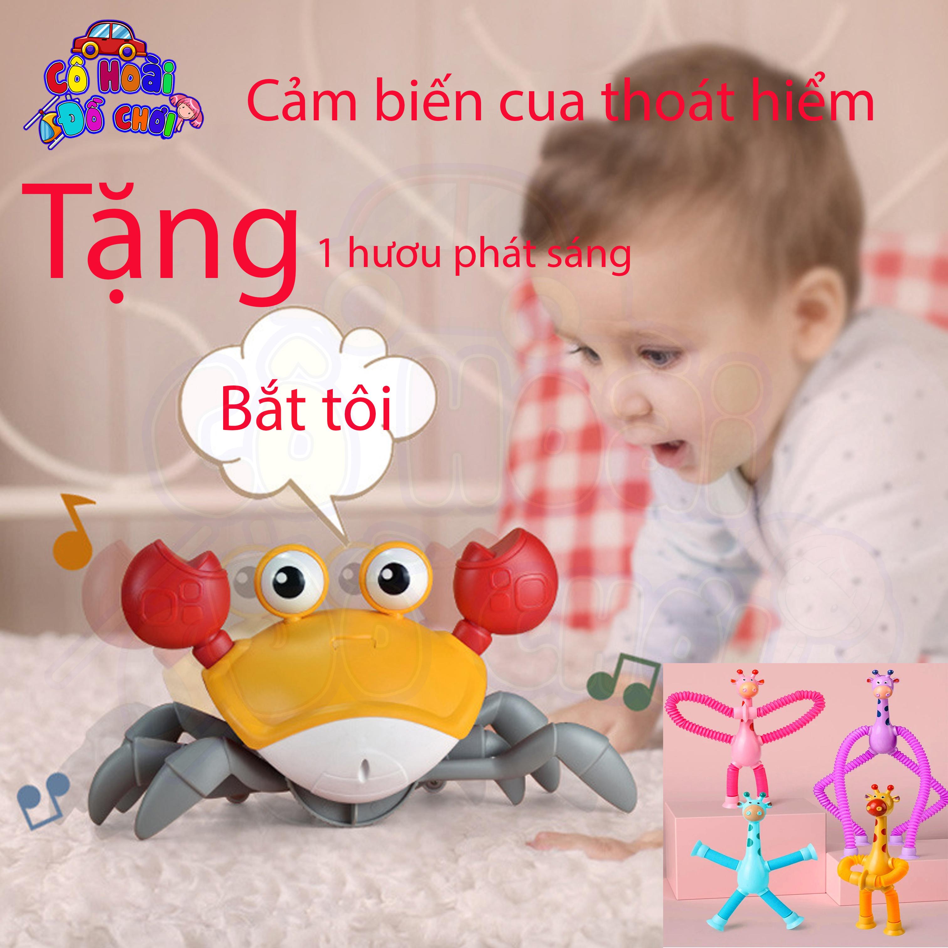Cangrejo Musical Estimulación: ¡El compañero de juegos perfecto para tu bebé!
