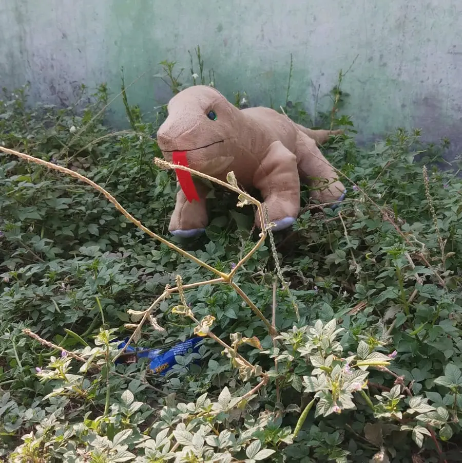 Boneka Komodo size L cocok buat Hadiah dan Koleksi Set Hadiah Dolls
