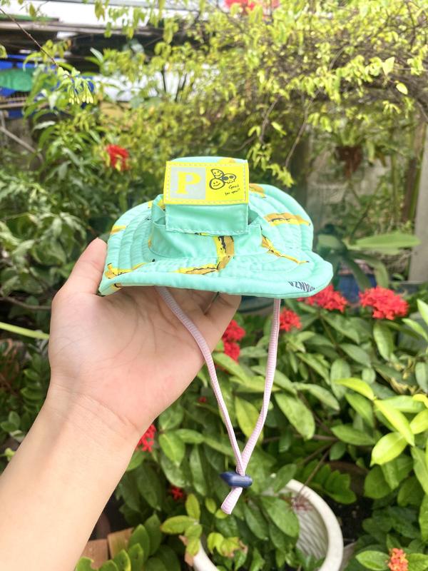 Nón Tai Bèo Che Nắng Cho Thú Cưng - Mũ Tai Bèo Đi Du Lịch 6