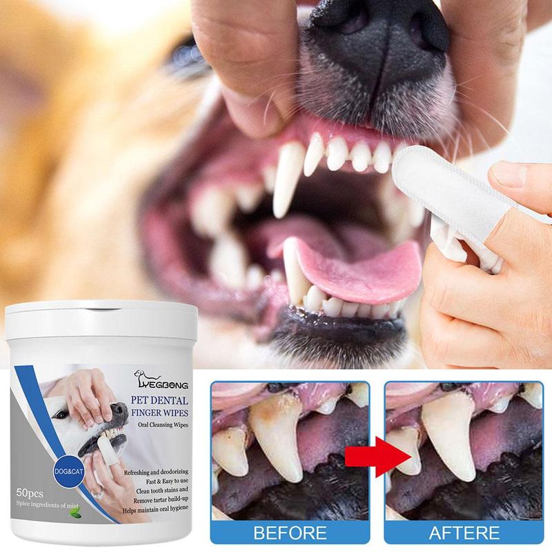 Product Introduction of Oral Care Finger Wipes for Dogs and Cats EasytoUse Pet Teeth Cleaning Solution for Fresh Breath L8B9 22