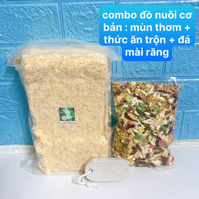 Combo nuôi chuột hamster Bear siêu tiết kiệm dành cho người mới nuôi 2