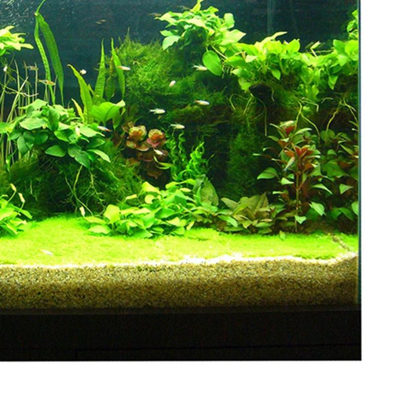 Product Introduction of Landscape Accessory Poster Aquarium Decorations Sticker 2