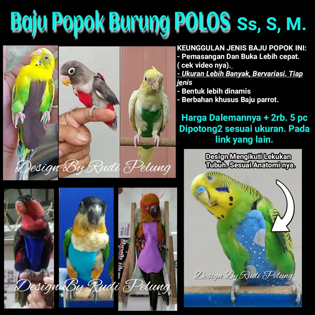 Diapers Baju Burung Parrot