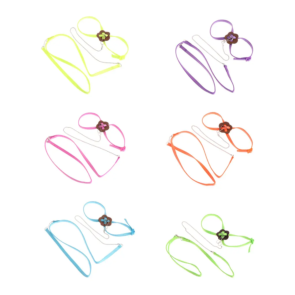 Parrot Harness and Leash Set Flying Rope for African for Grey Macaw Cockatiel