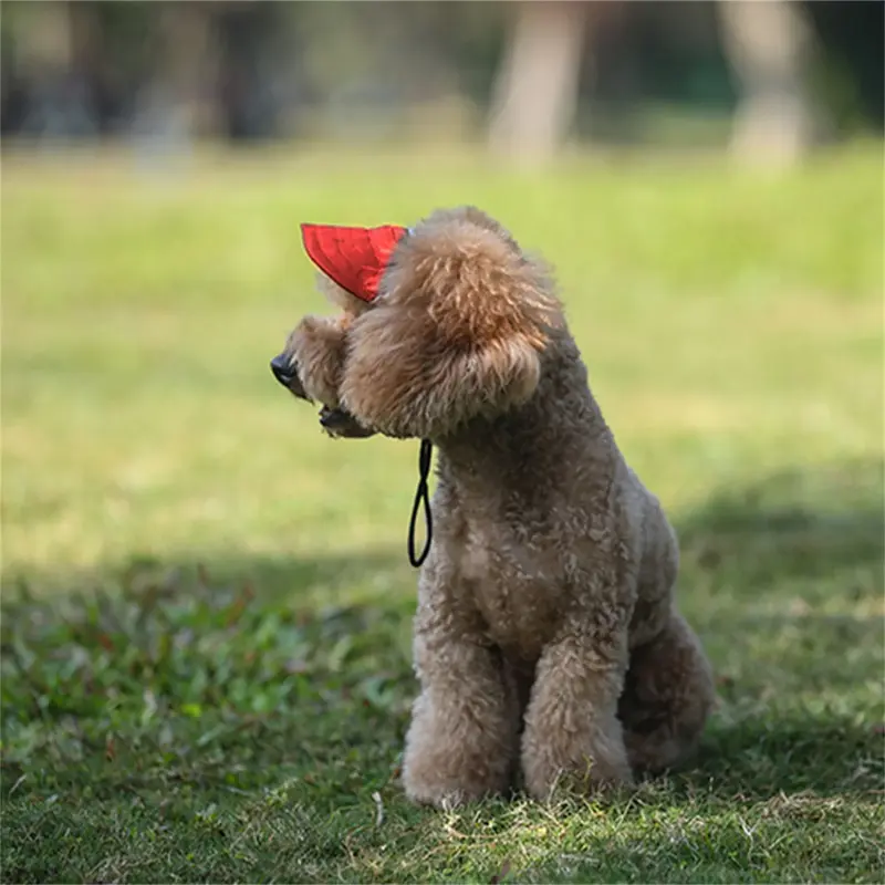 Adjustable Pet Dog Travel Cute Baseball Hat Sun Cap Visor Hat with Ear Holes Outdoor Sport Pet Supplies Does not apply shelly  dog  jumper 3