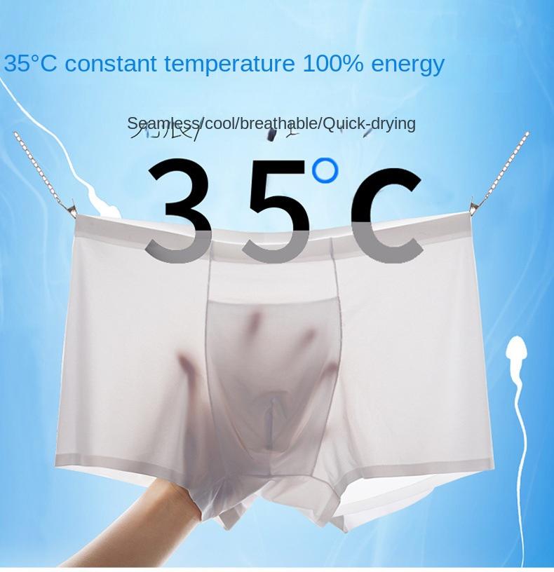 Product Introduction of 4pcs/lot Cool and Comfortable Men's Seamless Ice Silk Boxers Pure Color Underwear 12