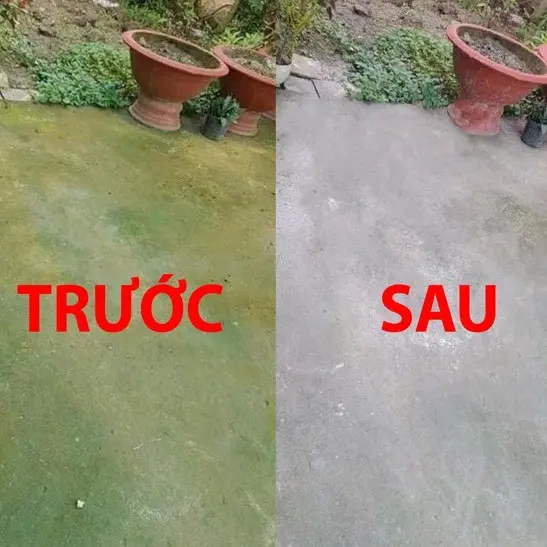 Bột Tẩy Rong Rêu Loại 1kg Khử Trùng Chuồng Trại Nền Sân Xi Măng Vĩa Hè Hồ Bơi Làm Sạch - Sản phẩm làm sạch chuyên nghiệp chai tẩy  rửa nước  tẩy nước  tẩy nước  tẩy taylong  giat bột  tẩy nước tẩy  hằng du mục bkc  diệt bột tẩy vết xước gạch men bột  tẩy 4