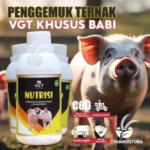 VGT Nutrisi Babi dan Kambing Penggemuk Hewan Ternak Vitamin Babi Penambah Nafsu Makan Babi 250ml