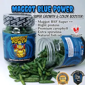 maggot blue power kemasan 30gr