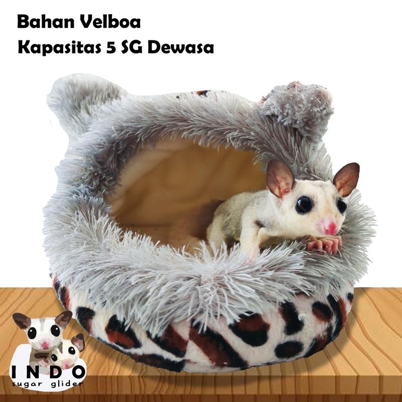 Sugar Glider Pouch Big Animal 4