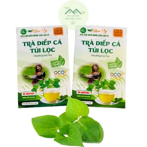 Trà diếp cá đặc sản Lạng Sơn Nước Trà Tea