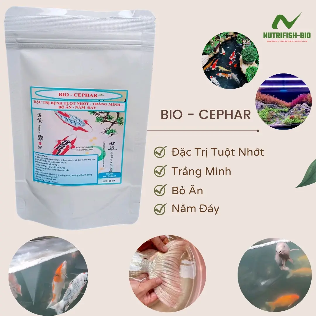 Bệnh Nằm Đáy, Tuột Nhớt, Đỏ Mình Trên Cá