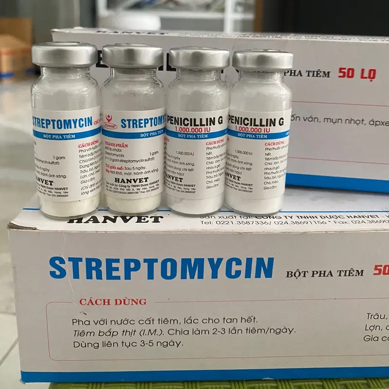 Penicillin G và Streptomycin (lọ 1g) hanvet bột pha tiêm xử lý các bệnh đóng dấu, nhiệt thán, mụn nhọt, áp xe,.. ở gia súc gia cầm 0