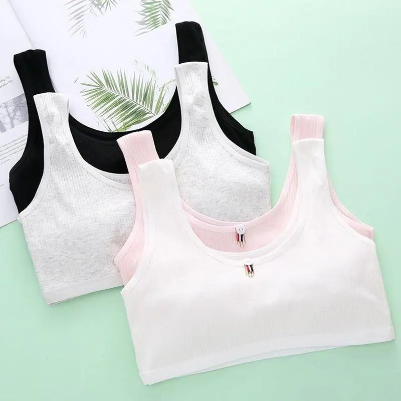 Combo 3 áo học sinh có mút, áo lá học sinh cho bé dưới 45kg chất tăm 0