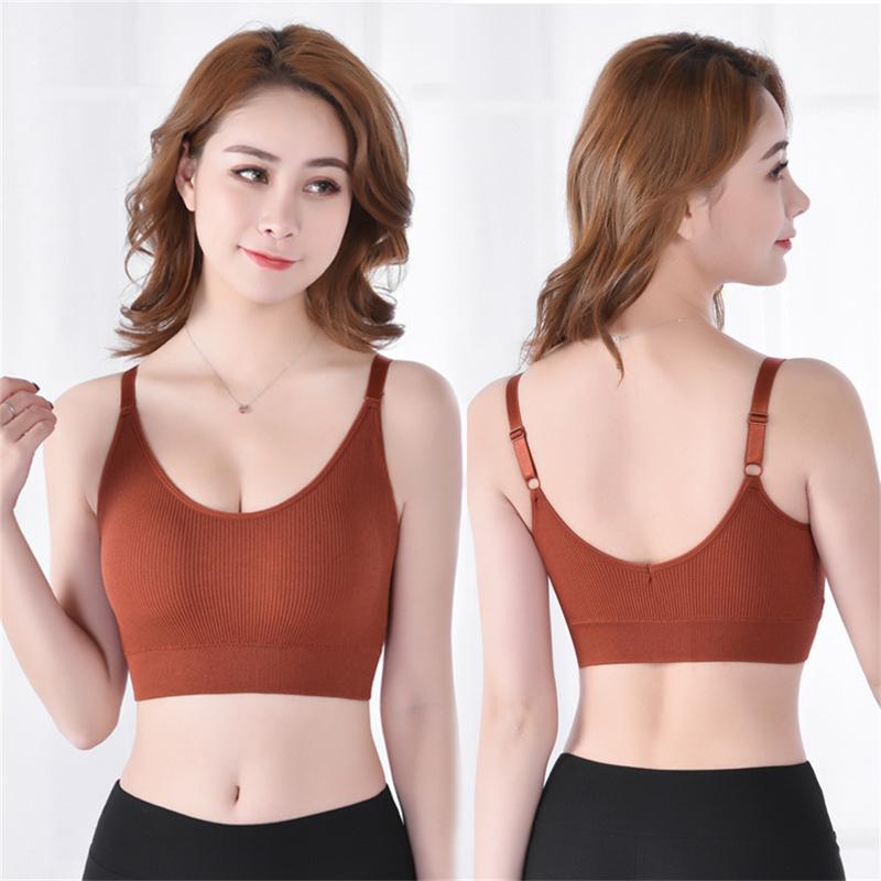 Áo Ngực Không Dây, Bộ 3 Chiếc, Thiết Kế Liền Mạch, Không Có Vòng Thép, Đồ Lót Cho Nữ, Áo Ống, Thiết Kế Lưng Đẹp, Làm Bằng Bông Tươi Mềm Mại Và Mỏng, Thích Hợp Cho Giới Trẻ, Đồ Lót, Áo Ngực 3