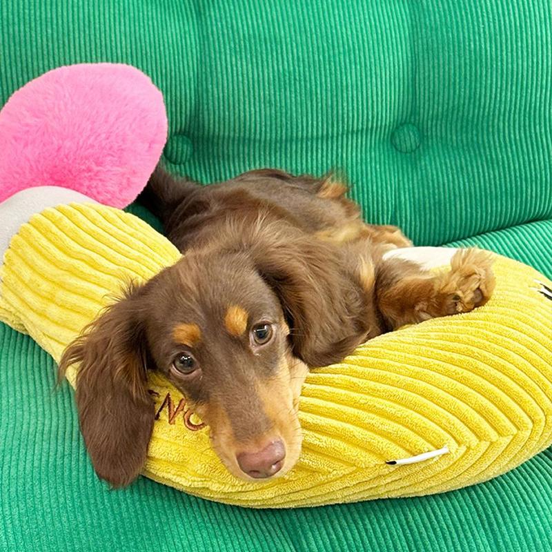 Question Mark Shaped Pet Toy, Pet Chew Toy, Pet Interactive Toy, Dog & Cat Accessories, Fun and Entertaining Toy for Cats and Dogs 5