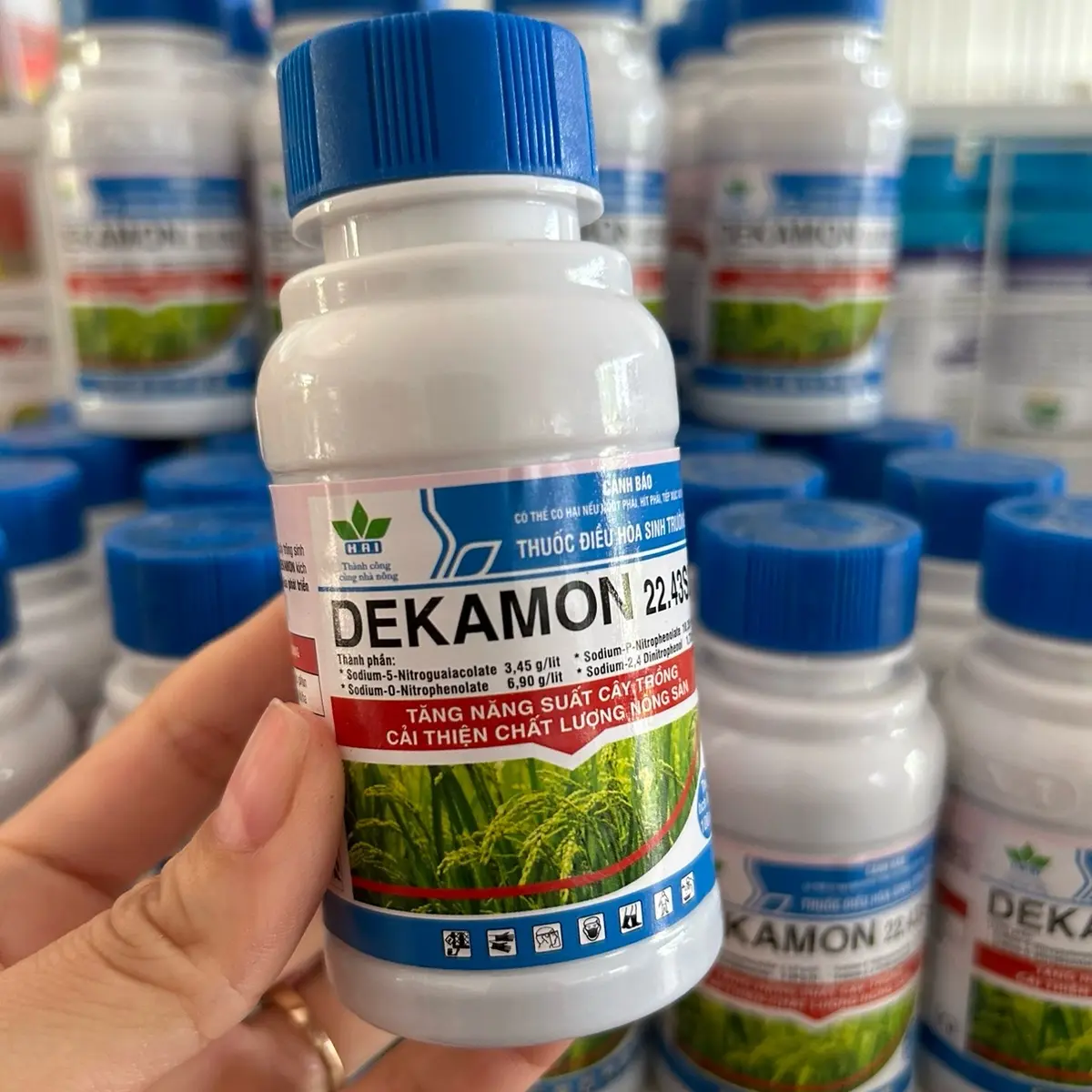 Dekamon, Dekamon 22.43SL chai 100ml