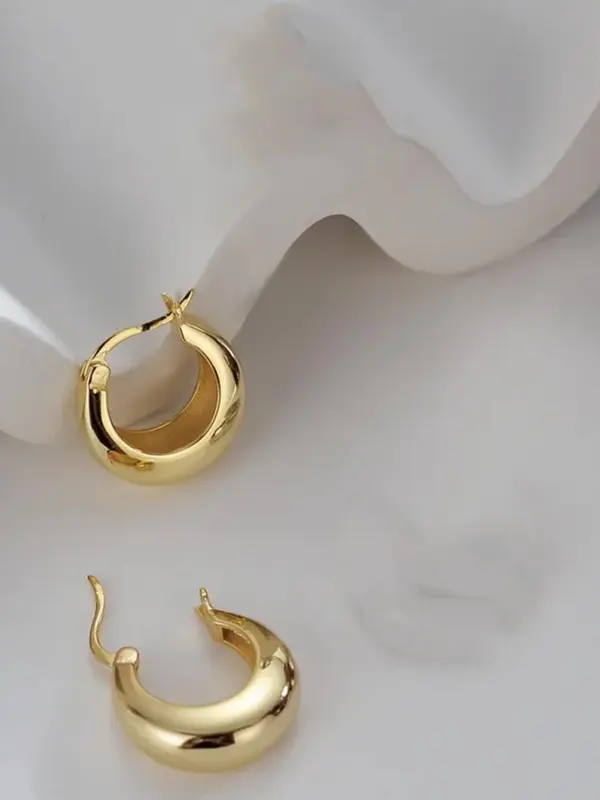 1 Pair Women's Elegant Minimalist Hoop Earrings, Trendy All-match Hoop Earrings, Fashionable Party Jewelry As Birthday Gift for Friends 2