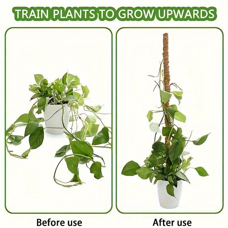 Moss Pole, 2 Counts Flexible Durable  Climbing Plant Growth Support, Beautiful Coconut Rod for Indoor Balcony Garden Pot Plant 4