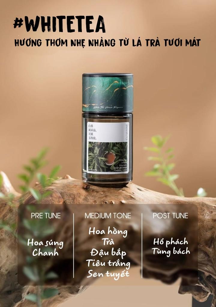 Product Introduction of Nước hoa Ô Tô QUEES SCENE cao cấp - Khử mùi nội thất Xe hơi - Thơm dịu nhẹ sang trọng - Chống say xe 6